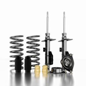 Shock And Strut Set